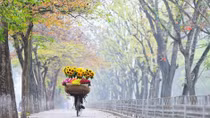 Bay với mùa Thu Hà Nội