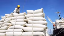 Lập đoàn công tác kiểm tra 5 doanh nghiệp xuất, nhập khẩu gạo