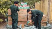 Thu giữ hơn 600 kg pháo vận chuyển qua biên giới