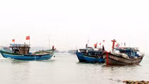 Ngư dân xuất quân đánh cá vụ Nam, khẳng định ngư trường, lãnh hải Tổ quốc