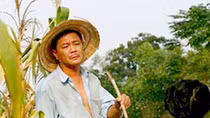 Vinh quang và vấp ngã