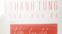 Thanh Tùng khuất mặt và Thanh Tùng lạ mặt