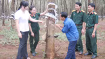 Để Tây Nguyên phát triển bền vững