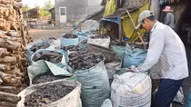 Ô nhiễm ở làng nghề hầm than