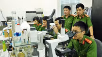 Những người giải mã bí ẩn