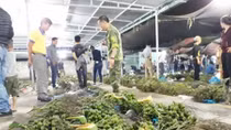 Một ngày làm người của chợ