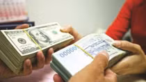 Giá USD đang tăng trở lại