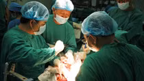 Nhân đạo và tội ác