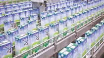 Cách đấu giá của SCIC khiến cổ phiếu Vinamilk “mất giá”?