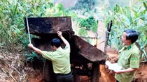 Bắt quả tang 2 xe máy cày vận chuyển gỗ lậu trong đêm