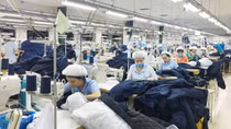 EVFTA tạo sự bứt phá cho xuất khẩu hàng hóa vào thị trường EU