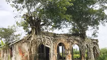 Đi tìm vị thần ở đình Tân Đông, Gò Công