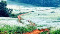 Tour du lịch các tỉnh phía Nam bắt đầu nóng