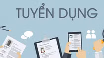 Thông báo tuyển lao động hợp đồng năm 2019