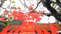 Người xưa học văn chương 