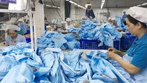 Hoàn thiện khung khổ pháp luật, thể chế để tận dụng cơ hội từ EVFTA
