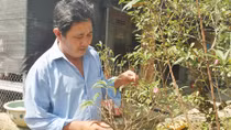 Đào Nhật Tân khoe sắc trên đất võ