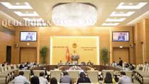 Cần quy định rõ về quản lý kháng sinh, hóa chất trong thức ăn chăn nuôi