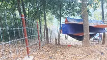 Lạng Sơn làm hàng rào thép gai tại 30 điểm đường mòn, lối tắt chống buôn lậu