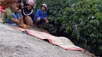 (HY HỮU) Xe lu cán tử vong bé trai 5 tuổi