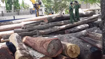 Tạm dừng phiên toà xét xử Phượng “râu” vì một bị cáo phải nhập viện
