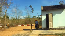 Vụ “trùm” gỗ Phượng “râu”: Thêm một cán bộ lâm nghiệp bị đình chỉ công tác