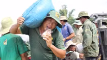 Nước tràn qua đê bao, hàng trăm người dân căng mình cứu lúa