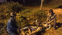 Xe máy tông liên hoàn trong đêm, 5 người thương vong
