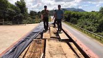 Xe tải đeo biển giả chở gỗ lậu