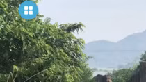 Voi nhà xổng chuồng húc chết người rồi chạy vào rừng