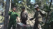 Phát hiện thêm một vụ phá rừng tại huyện Ea Kar