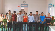 Nhóm công nhân Công ty Long Sơn chém người tranh cướp đất lĩnh án