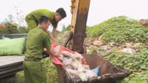 Tiêu hủy gần 200kg thuốc Ama Kông giả