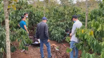 Đã xác định được danh tính người phụ nữ tử vong trong rẫy cà phê