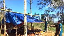 Đang trú mưa, 3 người bị sét đánh thương vong