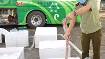 Bắt giữ gần 2 tấn nội tạng động vật bốc mùi hôi thối 