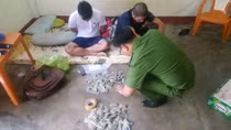 Thuê nhà trọ "tập kết" cỏ Mỹ bán cho con nghiện
