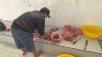 Heo nái bôi đỏ thành thịt bò rồi đưa chế biến cỗ cưới