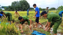 Tình người nơi vùng “rốn” lũ đi qua