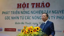 Phát triển nông nghiệp Tây Nguyên - góc nhìn từ các nông dân tỷ phú