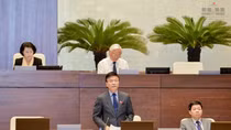 Hơn 90% đại biểu đồng ý chưa thông qua Bộ Luật Hình sự