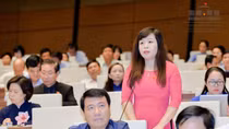 Chúng ta miễn, giảm thuế quá tràn lan?!