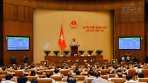 Đưa biển số xe vào diện "tài sản nhà nước” để bán đấu giá