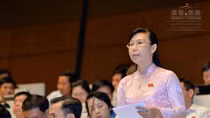 Đừng tạo ra một cơ chế pháp lý đặc thù để giải cứu nợ xấu