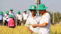 Tạo thế đột phá phát triển ĐBSCL trước thách thức của biến đổi khí hậu