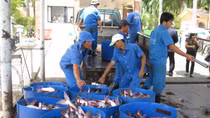 Phát triển các ngành có khả năng tham gia vào chuỗi cung ứng toàn cầu