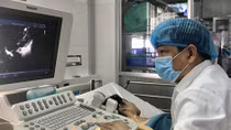 Cứu sống sản phụ mắc 2 bệnh tim bẩm sinh cực nặng 