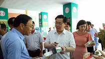 Hộ nghèo giảm mạnh sau 10 năm xây dựng nông thôn mới 
