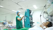 Cứu sống bệnh nhân bị ong mật đốt 250 mũi
