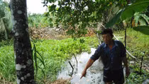 (BI HÀI) Tung tin giả bị cướp để lấy của nhà 70 triệu đồng bao gái